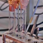 1C - LEKCJA BIOLOGII NA ZUT-CIE