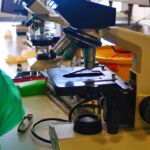 1C - LEKCJA BIOLOGII NA ZUT-CIE