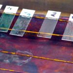 1C - LEKCJA BIOLOGII NA ZUT-CIE