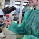 1C - LEKCJA BIOLOGII NA ZUT-CIE