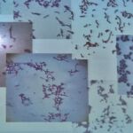 1C - LEKCJA BIOLOGII NA ZUT-CIE