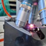 1C - LEKCJA BIOLOGII NA ZUT-CIE