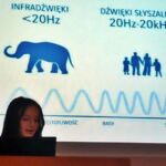 FIZYKA W MWDYCYNIE - KONKURS US