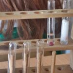 LEKCJA BIOLOGII 2 KLASIE 2D