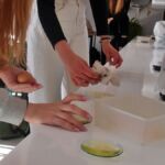 LEKCJA BIOLOGII W KLASIE 1C