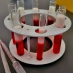 OBCHODY ŚWIĘTA NIEPODLEGŁOŚCI