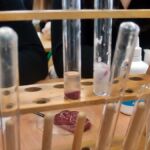 LEKCJA BIOLOGII 2 KLASIE 2D