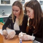 LEKCJA BIOLOGII 2 KLASIE 2D