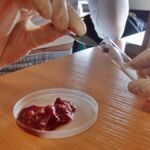 LEKCJA BIOLOGII 2 KLASIE 2D