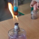 LEKCJA BIOLOGII 2 KLASIE 1C