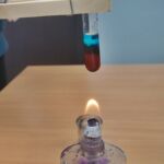 LEKCJA BIOLOGII 2 KLASIE 1C