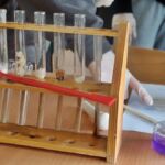 LEKCJA BIOLOGII 2 KLASIE 1C