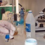 LEKCJA BIOLOGII 2 KLASIE 1C