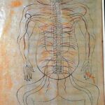 2C W MUZEUM HISTORII MEDYCYNY