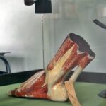 2C W MUZEUM HISTORII MEDYCYNY