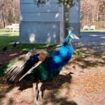 WYCIECZKA DO WARSZAWY KLAS 1B I 3B