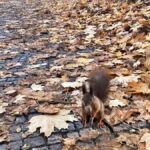 WYCIECZKA DO WARSZAWY KLAS 1B I 3B